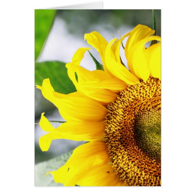 Du lyser mitt liv hälsningskort (Framsidan)