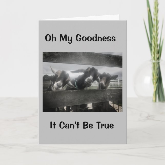 DU MÅSTE VARA "KIDDING" DU KAN INTE VARA 16-KORT KORT (Framsida)