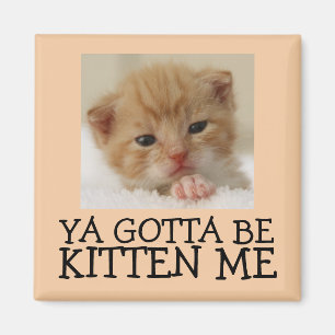 Du måste vara Kitten mig. Magnet