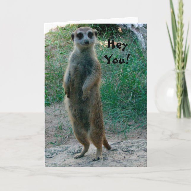 Du Meerkat Birthday Card Kort (Framsida)