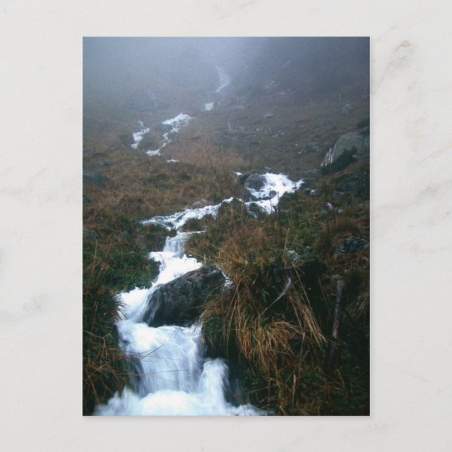 DU, NEDAN. VYKORT (Framsida)