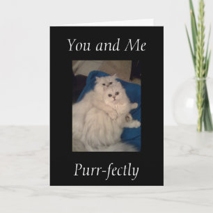 "DU OCH MIG PURR FECTLY" ÅRSDAGEN KORT