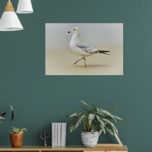Du Poster Gull Sea Gull Beach Art