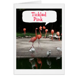 **DU RETIRERAR" FLAMINGOS ÄR "TICKERAD ROSA" HÄLSNINGSKORT