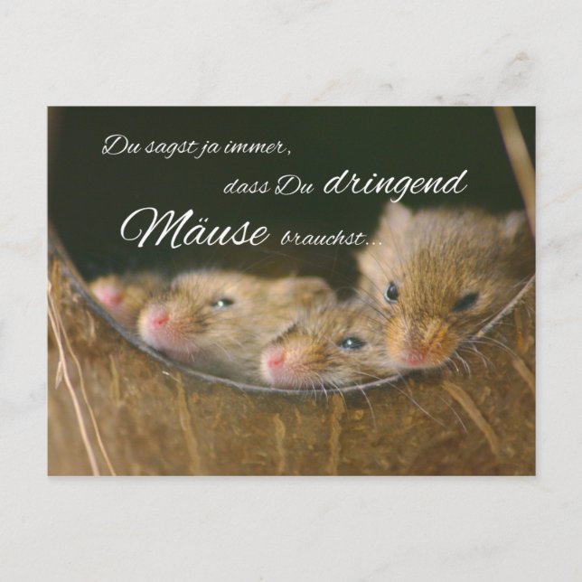 Du sagst ja immer, dass Du dringend Mäuse brauchst Vykort (Framsida)