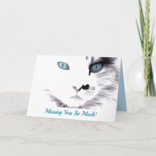 Du saknar blå eyed Cat Anteckningskort