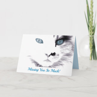 Du saknar blå eyed Cat Anteckningskort