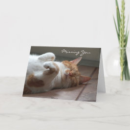 Du saknar Cute Cute-sovkort för katt Kort