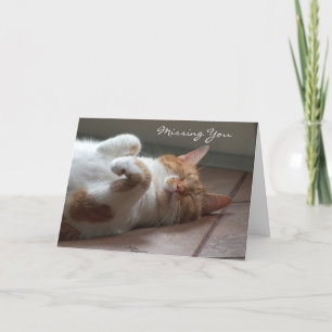 Du saknar Cute Cute-sovkort för katt Kort