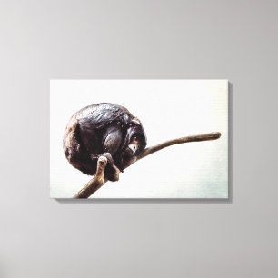 Du saknar ensam Urban Chimpanzee Monkey Canvastryck