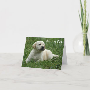 Du saknar Gult Labrador Retriever Puppy Card Kort