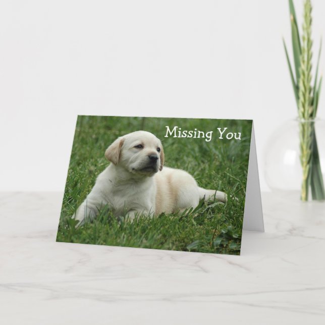 Du saknar Gult Labrador Retriever Puppy Card Kort (Framsida)