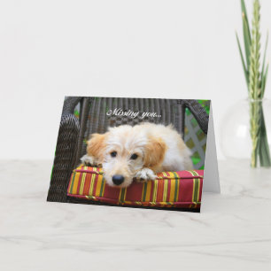 Du saknar gyllene Dold Greeting Card Kort