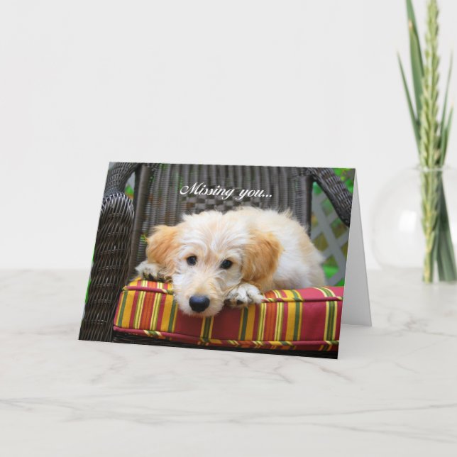 Du saknar gyllene Dold Greeting Card Kort (Framsida)