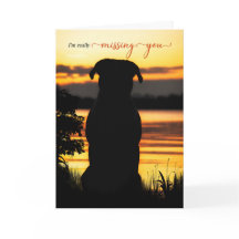 Du saknar Hund Silhouette vid en solnedgång Sjö
