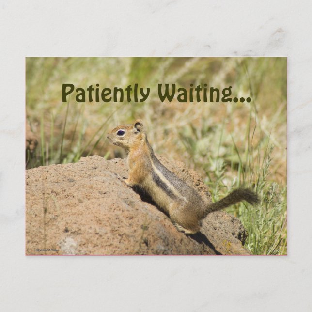 Du saknar matkupa på en Sten-fotoAnpassningsbar Vykort (Framsida)