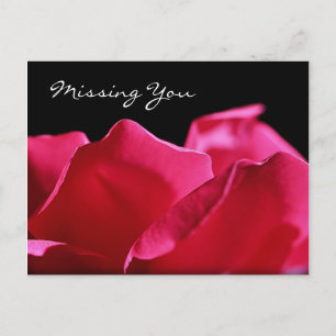 Du saknar Rosa ros Petals Vykort