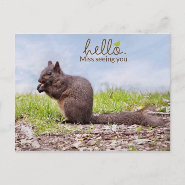 Du saknar vykort (Framsida)