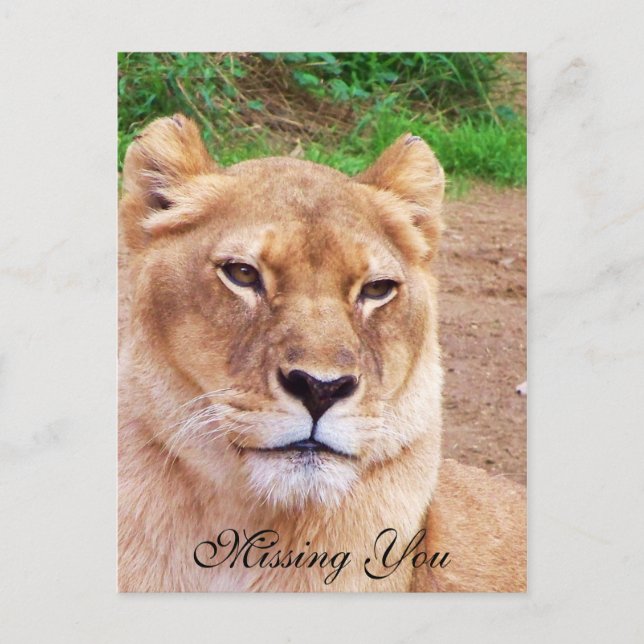 Du saknas_ vykort (Framsida)