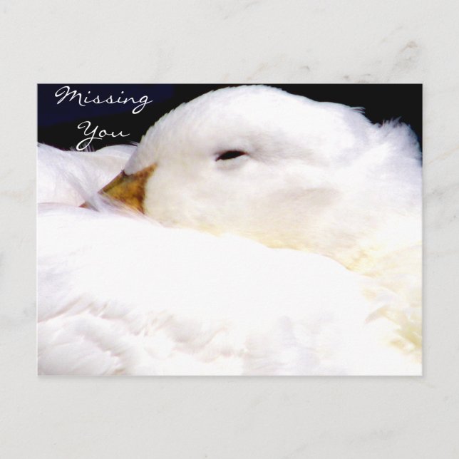 Du saknas_ vykort (Framsida)