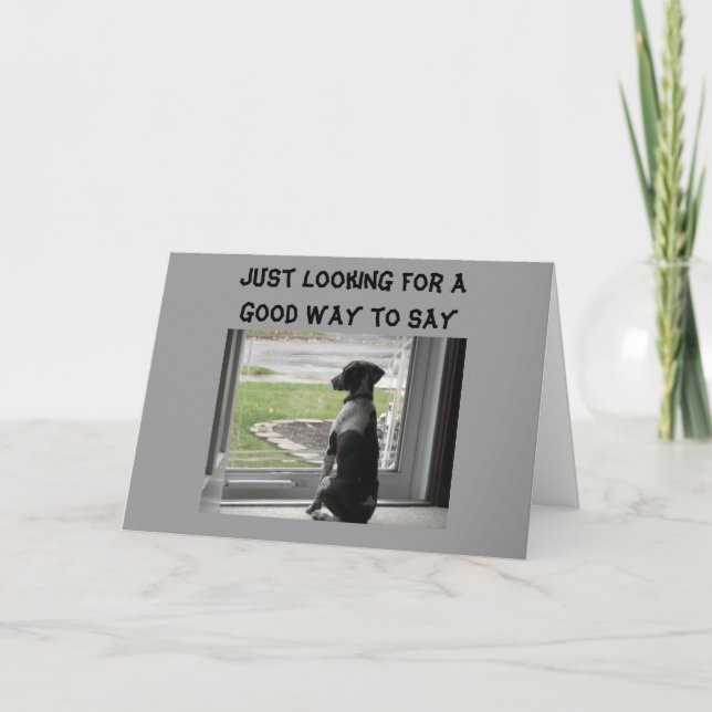 DU SER BRA ÖVER BACKE KORT (Framsida)