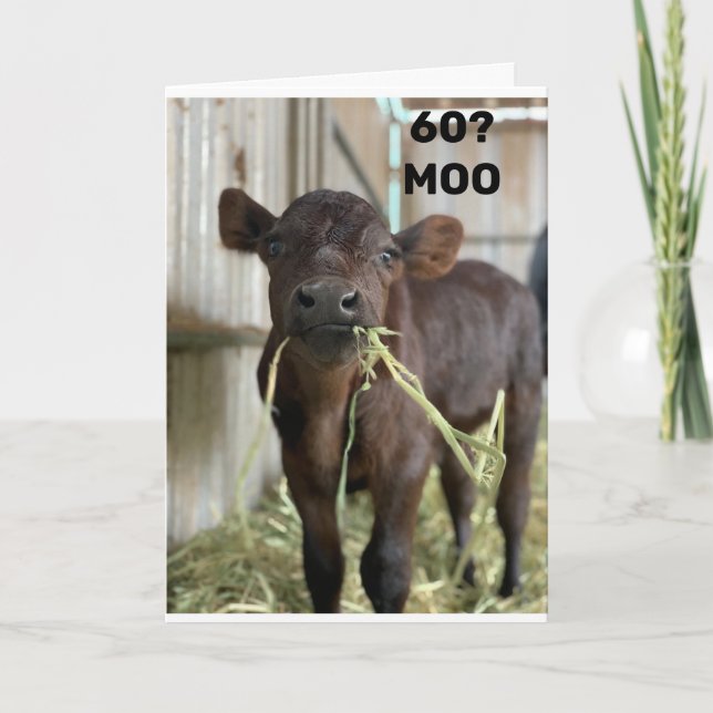 DU SER INTE EN DAG ÖVER 49 "60 BIRTHDAY" KORT (Framsida)