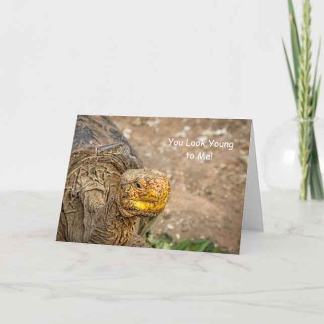 Du ser ung till mig! Galapagos Kort (Framsida)