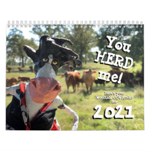 Du ska nHEIFERfynd en bättre COWlendar än detta Kalender