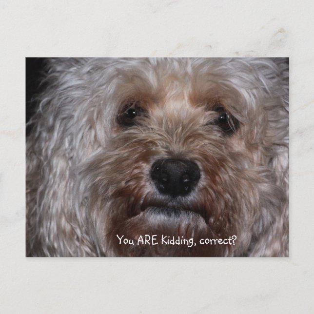 Du skojar, eller hur? vykort (Framsida)