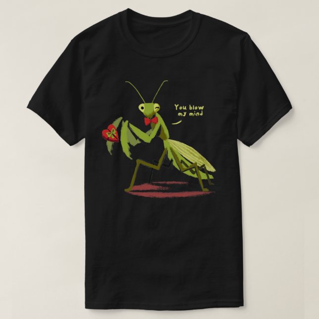 Du spränger mitt sinne.. t shirt (Design framsida)