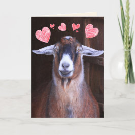 Du Sten min världsgoat Valentine Helgkort
