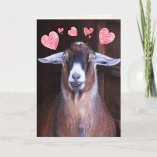 Du Sten min världsgoat Valentine Helgkort
