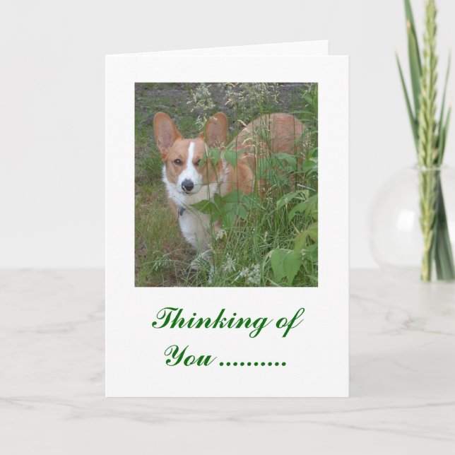 Du tänker.. kort (Framsida)