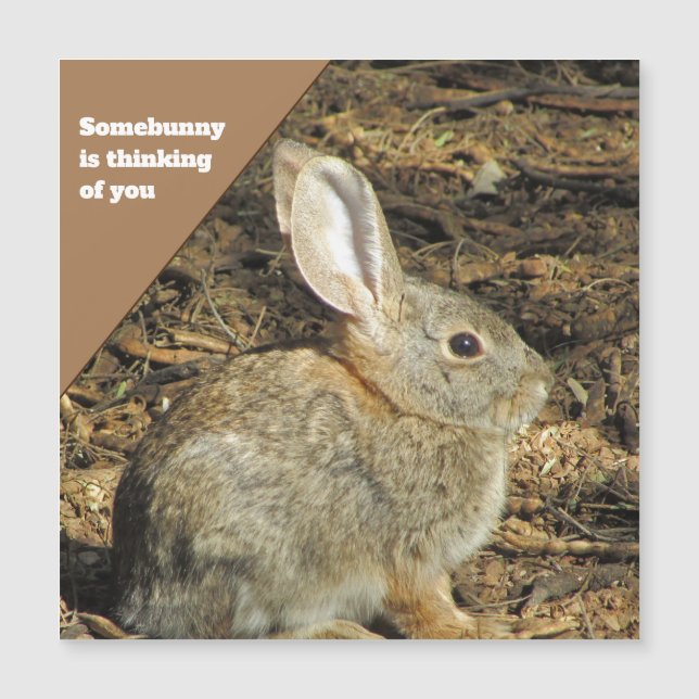 Du tänker på Brown Bunny Photo Nature Animal (Framsida)