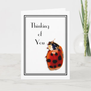 Du tänker på Cute och Classy Little Ladybug Kort