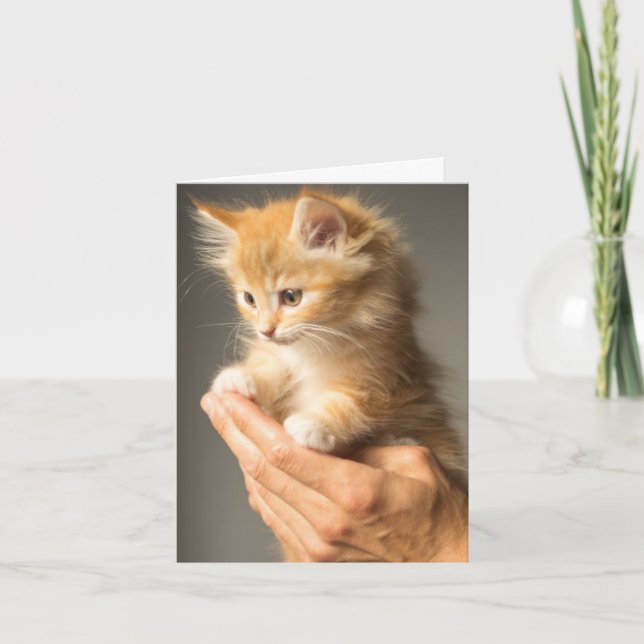 Du tänker på Fuzzy Kitten Cat Lover Kort (Framsida)