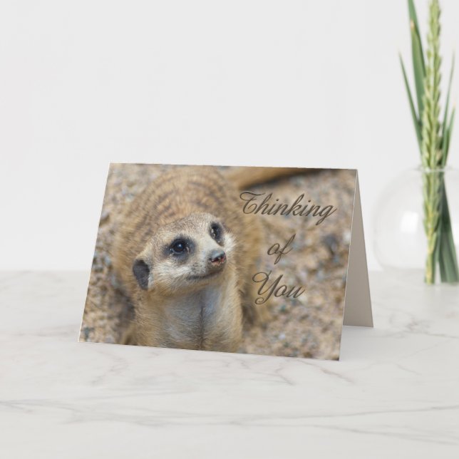 Du tänker på Meerkat Kort (Framsida)