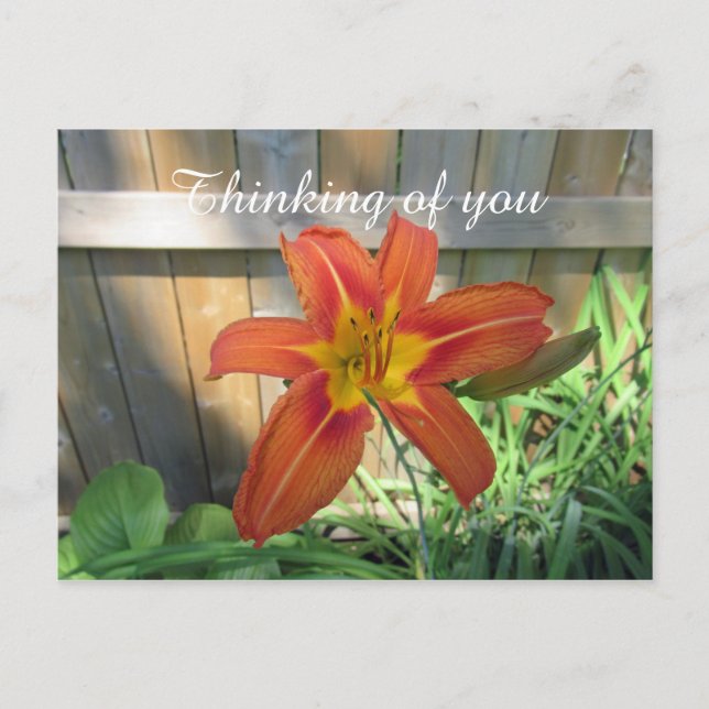 Du tänker på Orange Lily Floral Photography Vykort (Framsida)