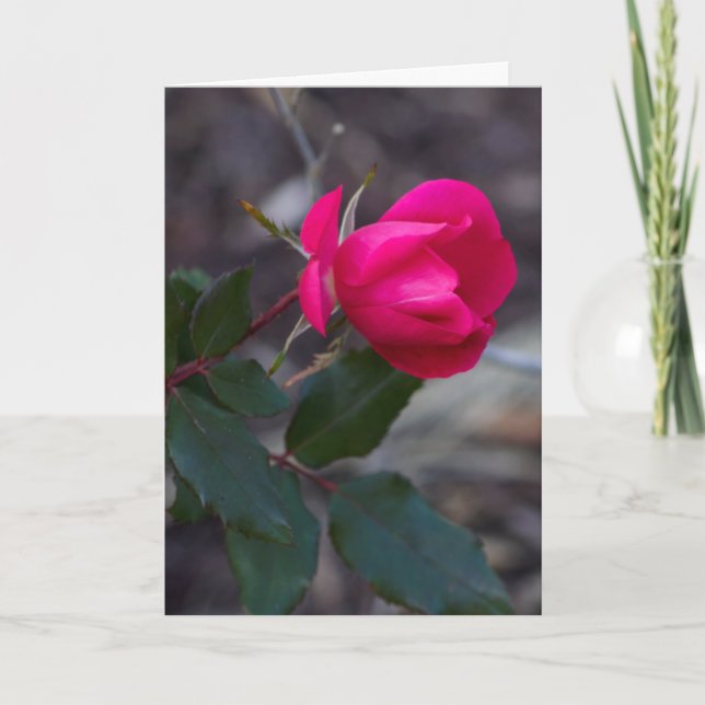 Du tänker på Rosa ros-fotomall Kort (Framsida)