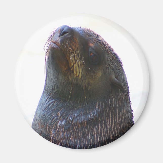 Du tittar på mig! magnet (Framsidan)