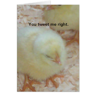 Du tweet mig höger. hälsningskort