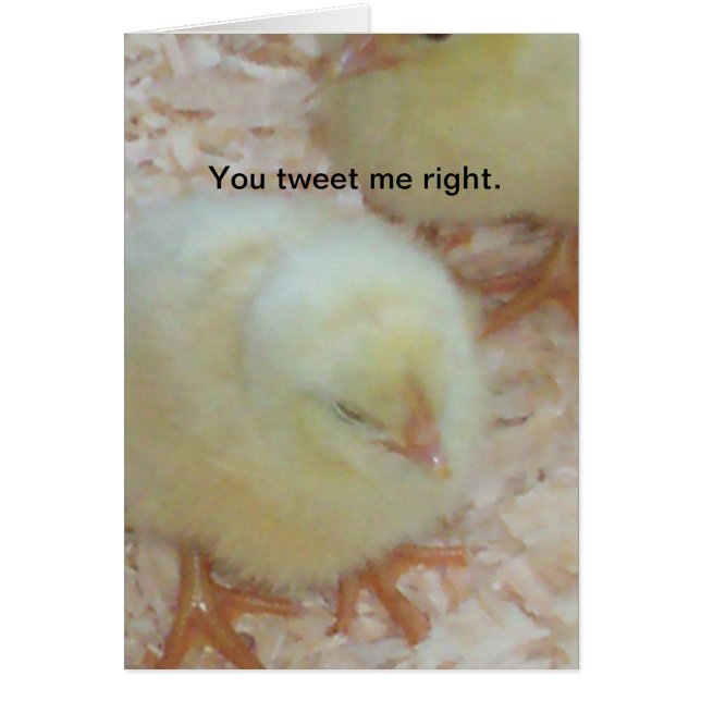 Du tweet mig höger. hälsningskort (Framsidan)