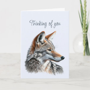 Du tycker om ditt vackra Coyote Wildlife Animal Kort