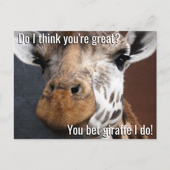 Du väljer Giraffe Encouragement-vykort Vykort (Framsida)