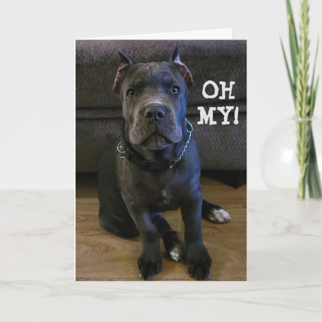 DU VÄNTAR 60 BIRTDAGKORT HELGKORT (Framsida)