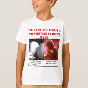 DU VET ATT DU LEVER I EN LAND RAN AV IDIOTER NÄR TEE SHIRT