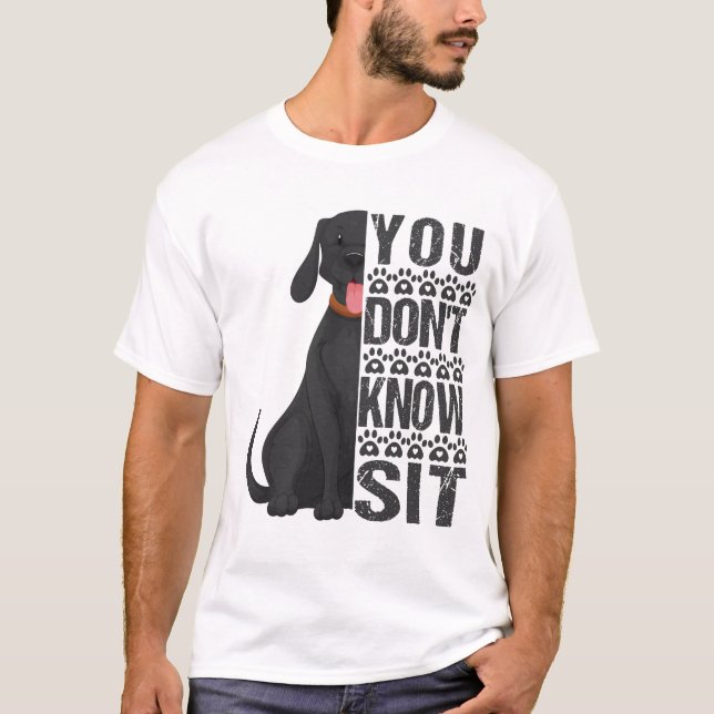 Du vet inte hur du sitter, Rolig hund tränare T Shirt (Framsida)