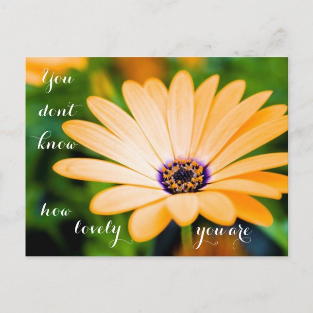 Du vet inte hur glad du är vykort (Framsida)