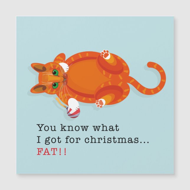 Du vet vad jag har till jul...TJOCK! (Framsida)