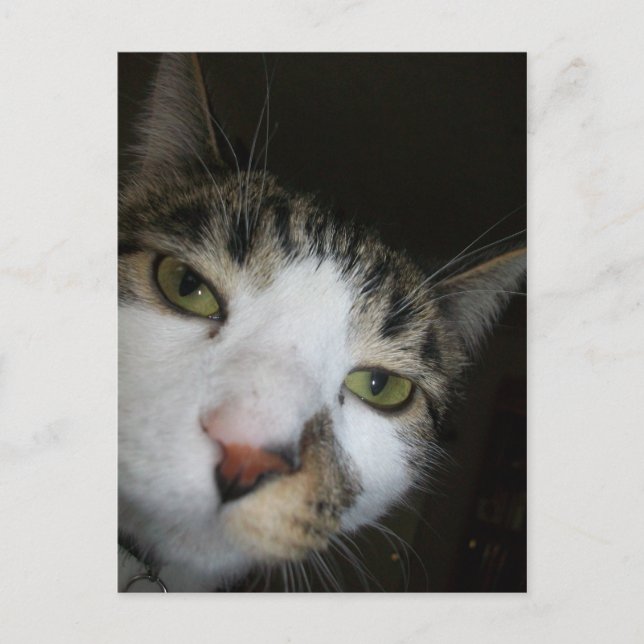 Du! Vykort (Framsida)